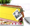 Rainbow Colors Desk Scheduler