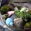 Aquarium Erasers